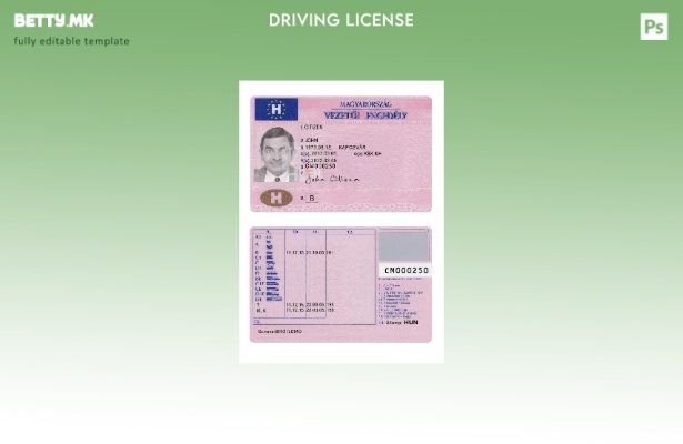 Шаблон за верзија на унгарска возачка дозвола во модерен стил